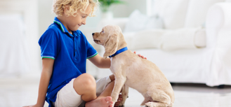 Safe for people, pets and the environment