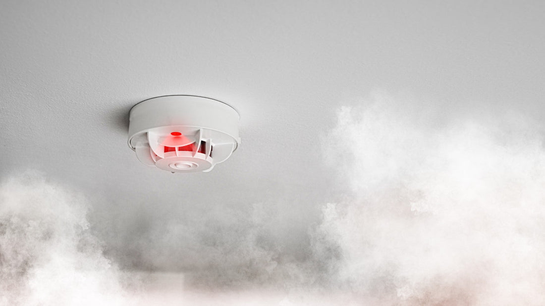 Don’t Paint Over Cigarette Smoke Smell: Why Smoke Odour Should Be Treated First